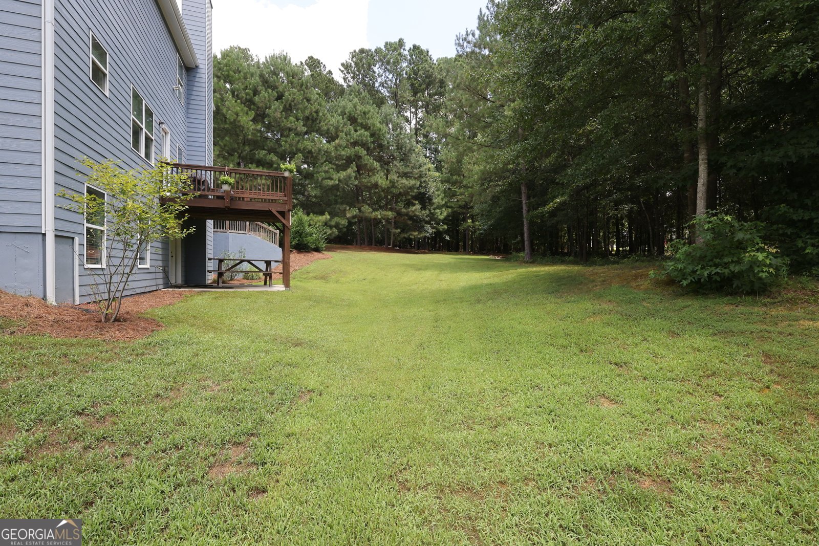 2149 Braswell Lane Loganville - 6