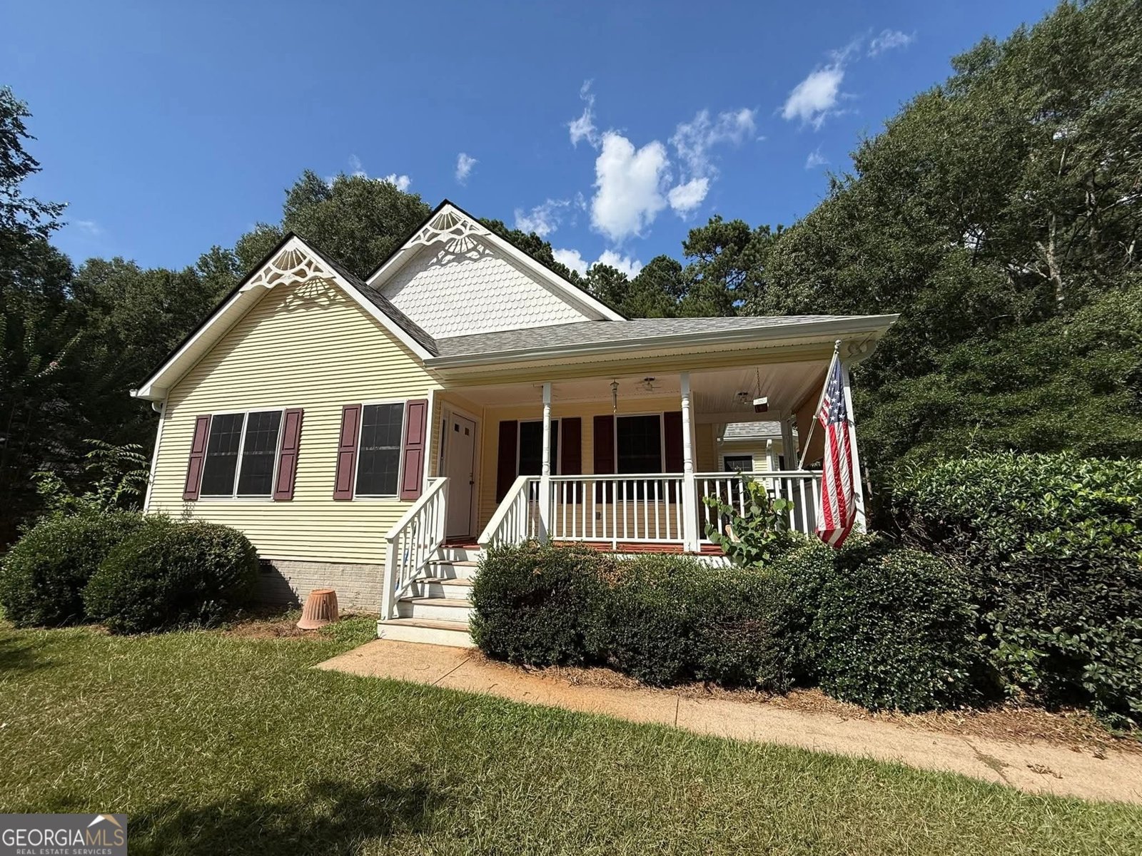 606 Willow Dell Drive Senoia - 1
