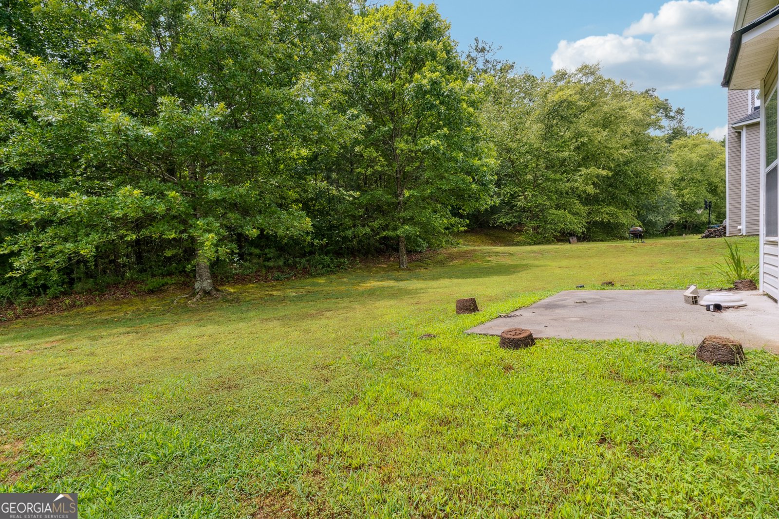 1593 Cutters Mill Drive Lithonia - 19