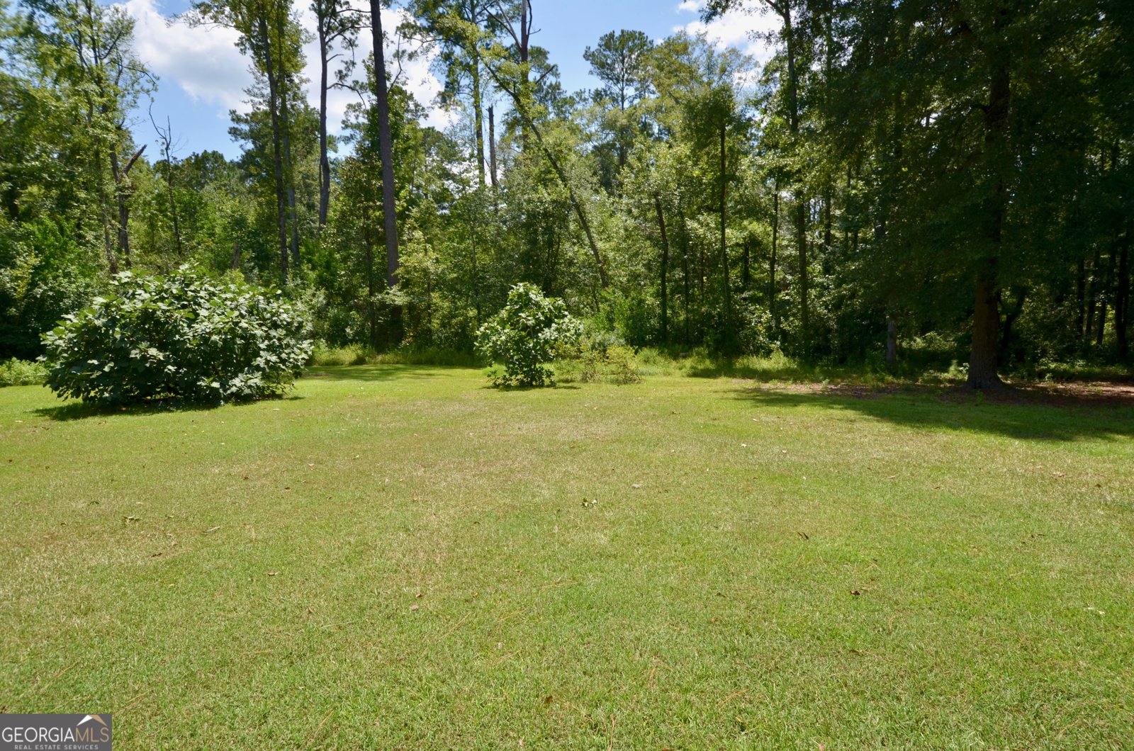 124 Pine Hill Drive Cochran - 38