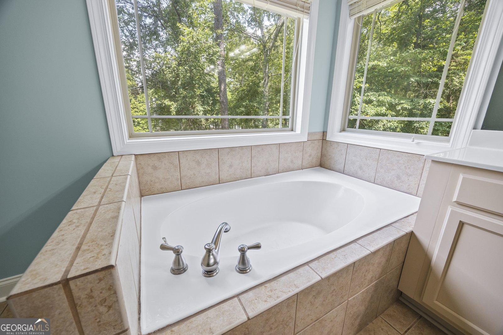425 Wyndward Point Drive Hartwell - 24