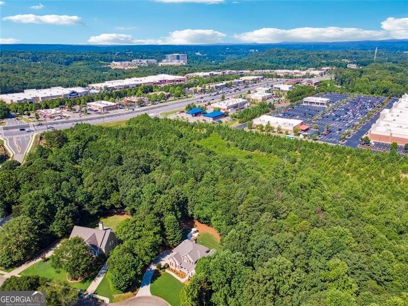 202 Brooke Place Canton - 47