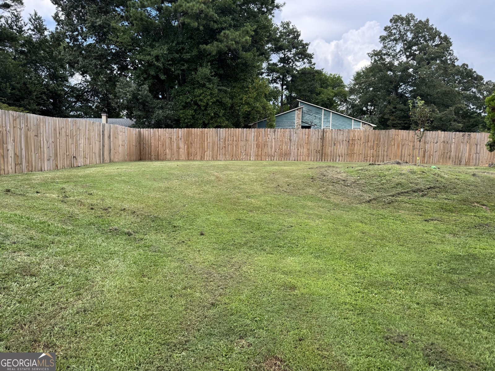 3695 Winterberry Lane Snellville - 10
