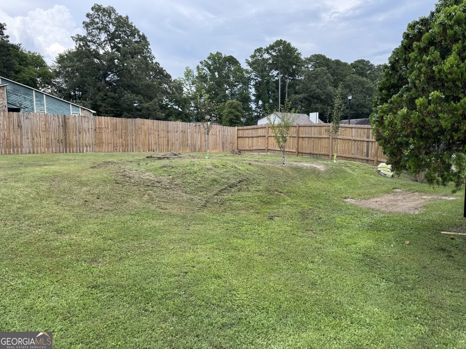 3695 Winterberry Lane Snellville - 11