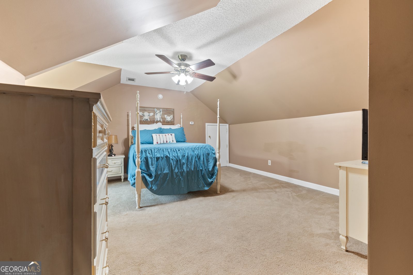 299 Colvin Road Forsyth - 10
