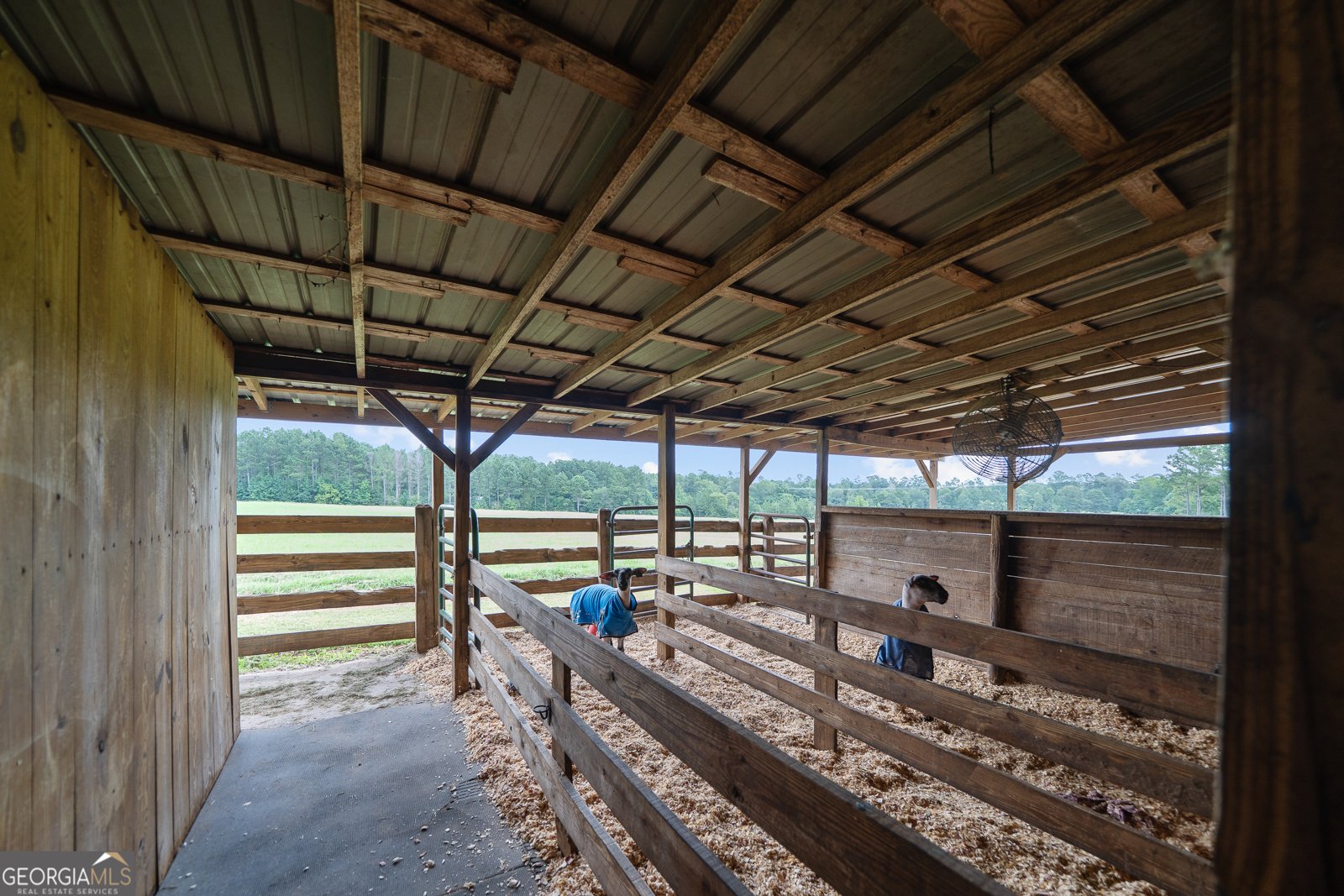 299 Colvin Road Forsyth - 36