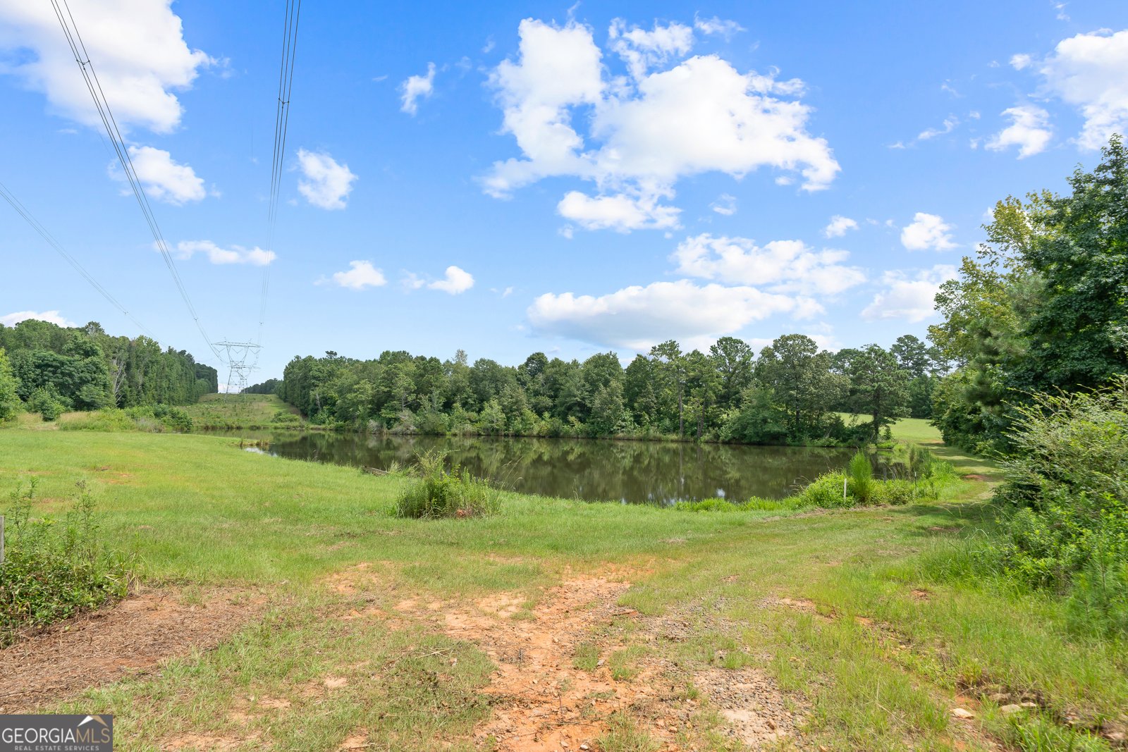 299 Colvin Road Forsyth - 47