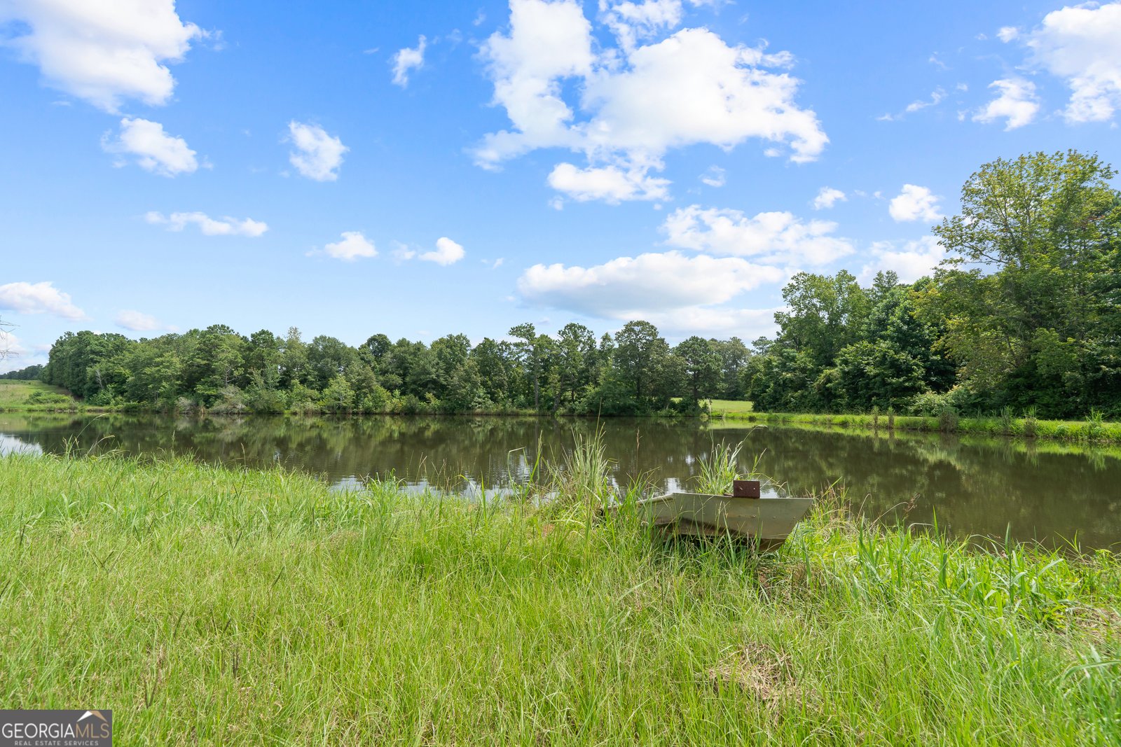 299 Colvin Road Forsyth - 49