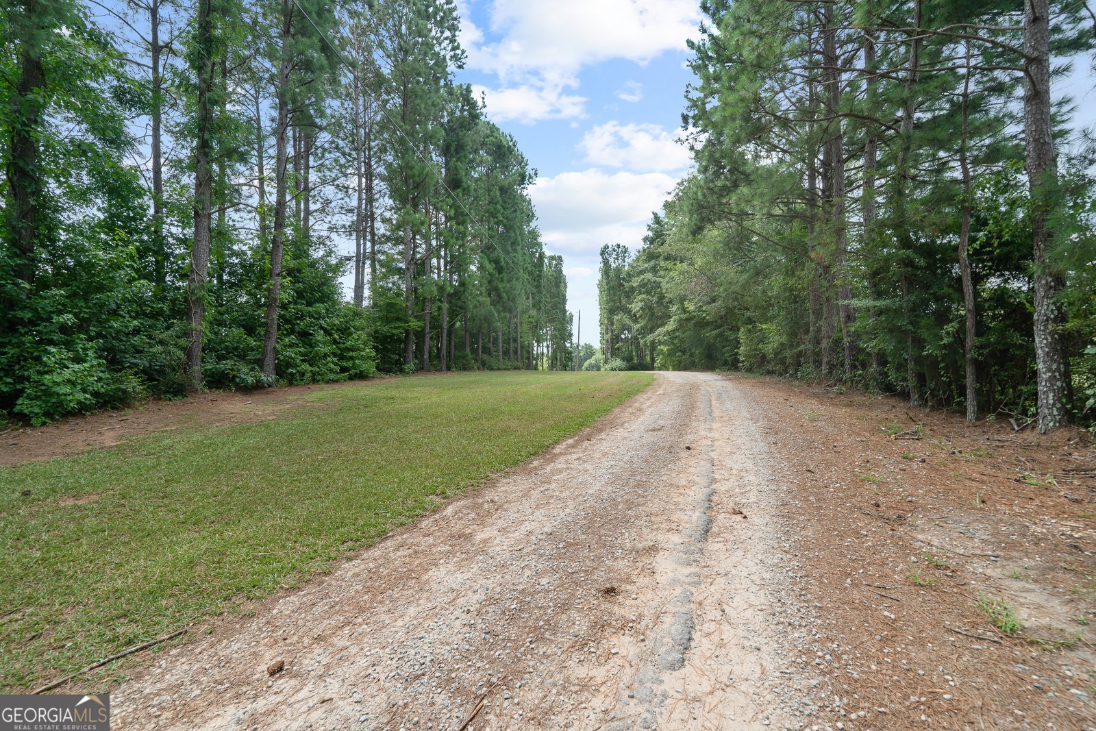 299 Colvin Road Forsyth - 51