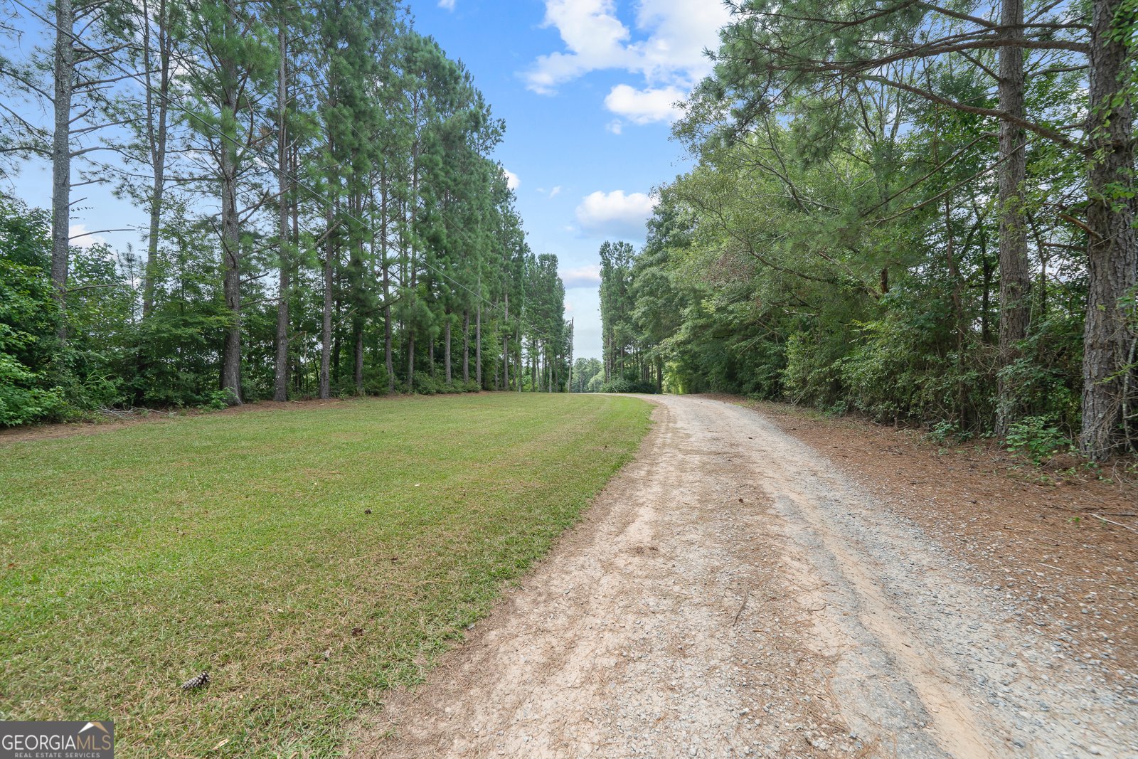 299 Colvin Road Forsyth - 52