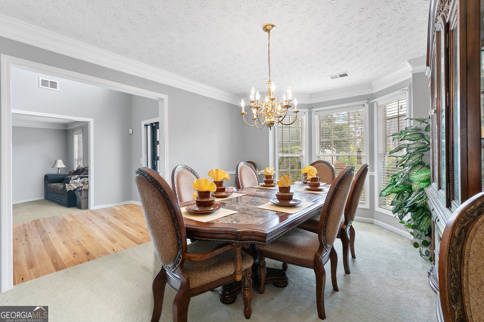 1212 Kern Cove McDonough - 10