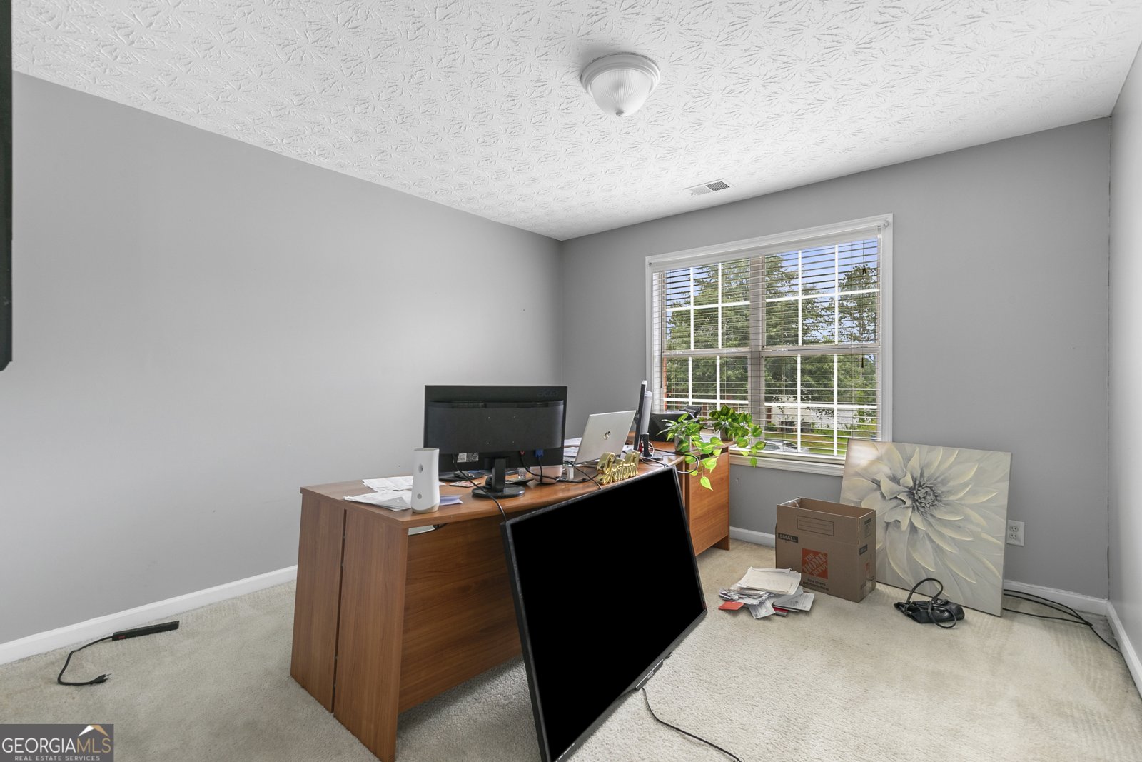 1212 Kern Cove McDonough - 13