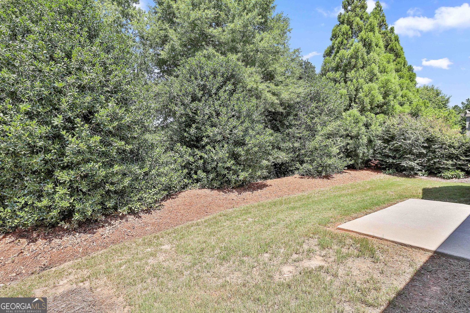 109 Starflower Drive Griffin - 30