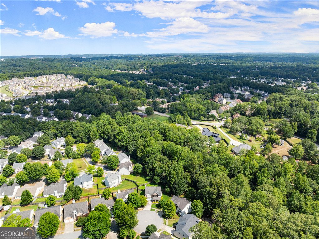 3501 Bogan Mill Road Buford - 22