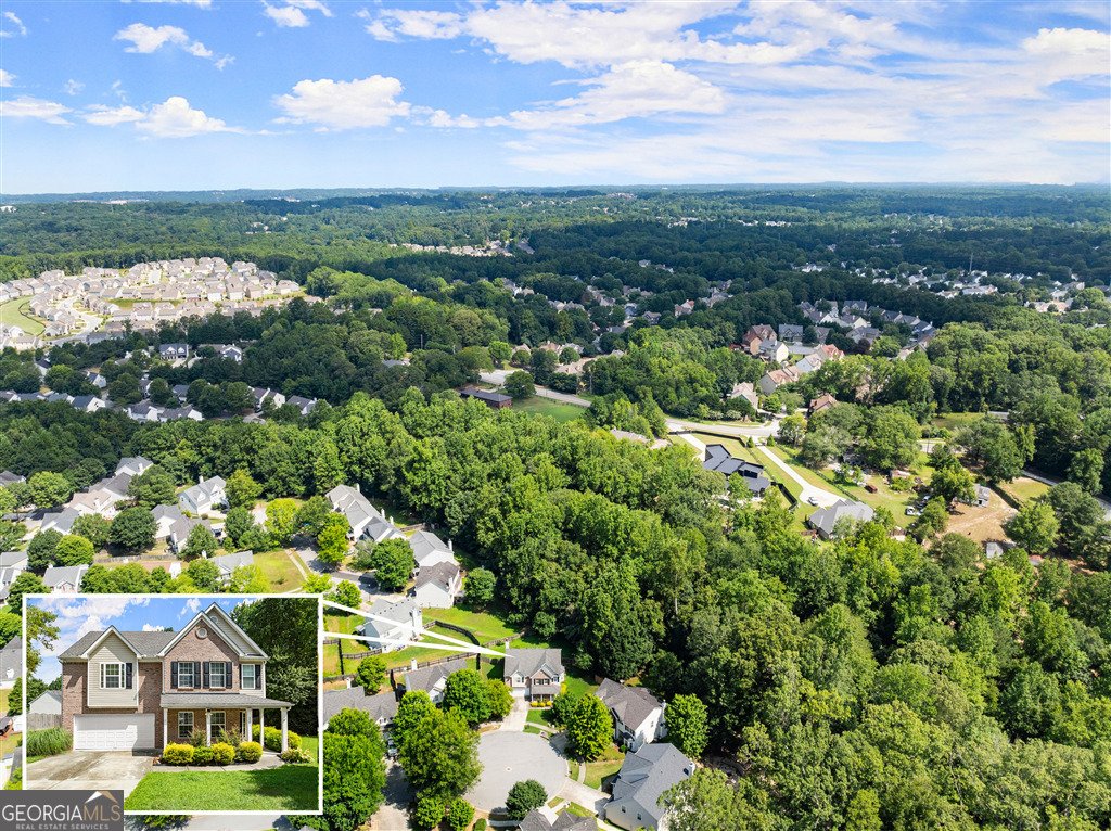3501 Bogan Mill Road Buford - 23