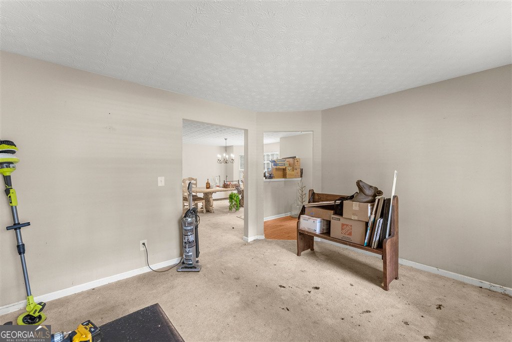 3501 Bogan Mill Road Buford - 4