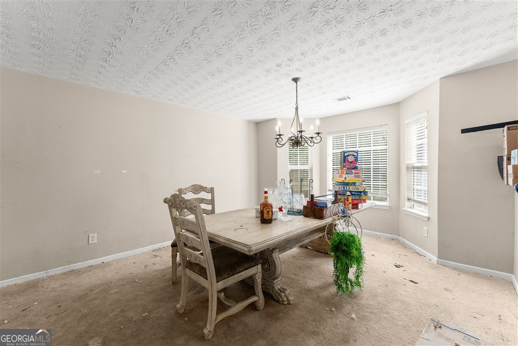 3501 Bogan Mill Road Buford - 5