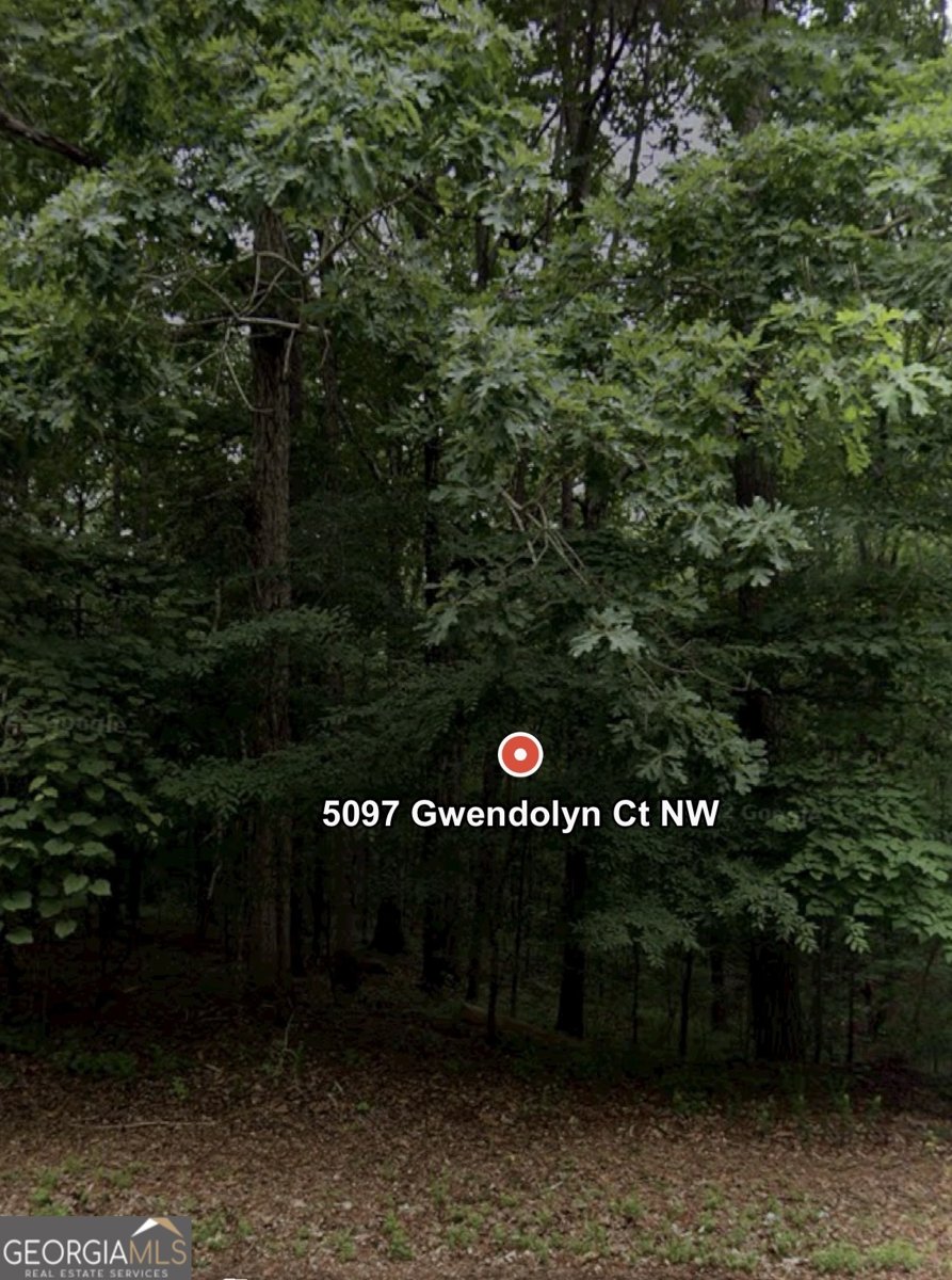 5098 Gwendolyn Court Acworth - 35