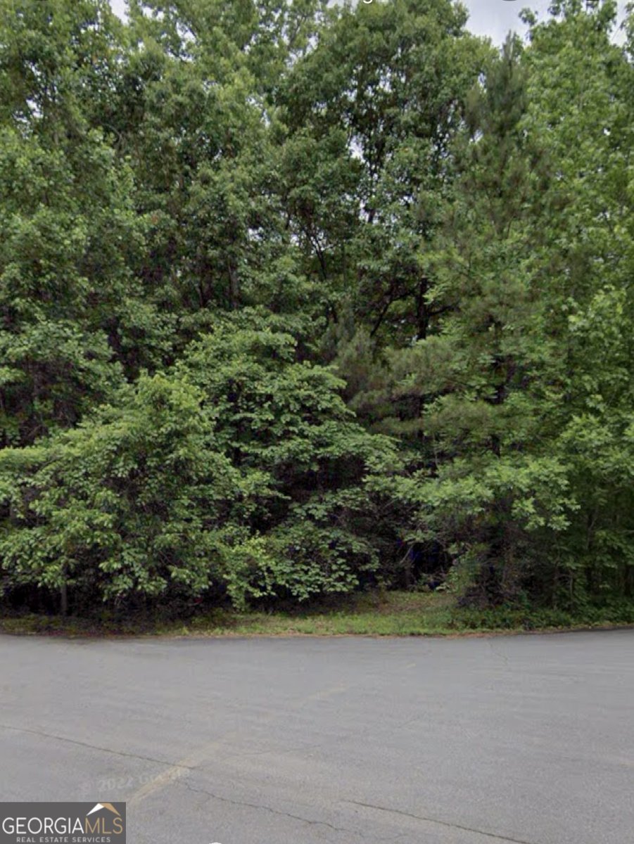 5098 Gwendolyn Court Acworth - 38