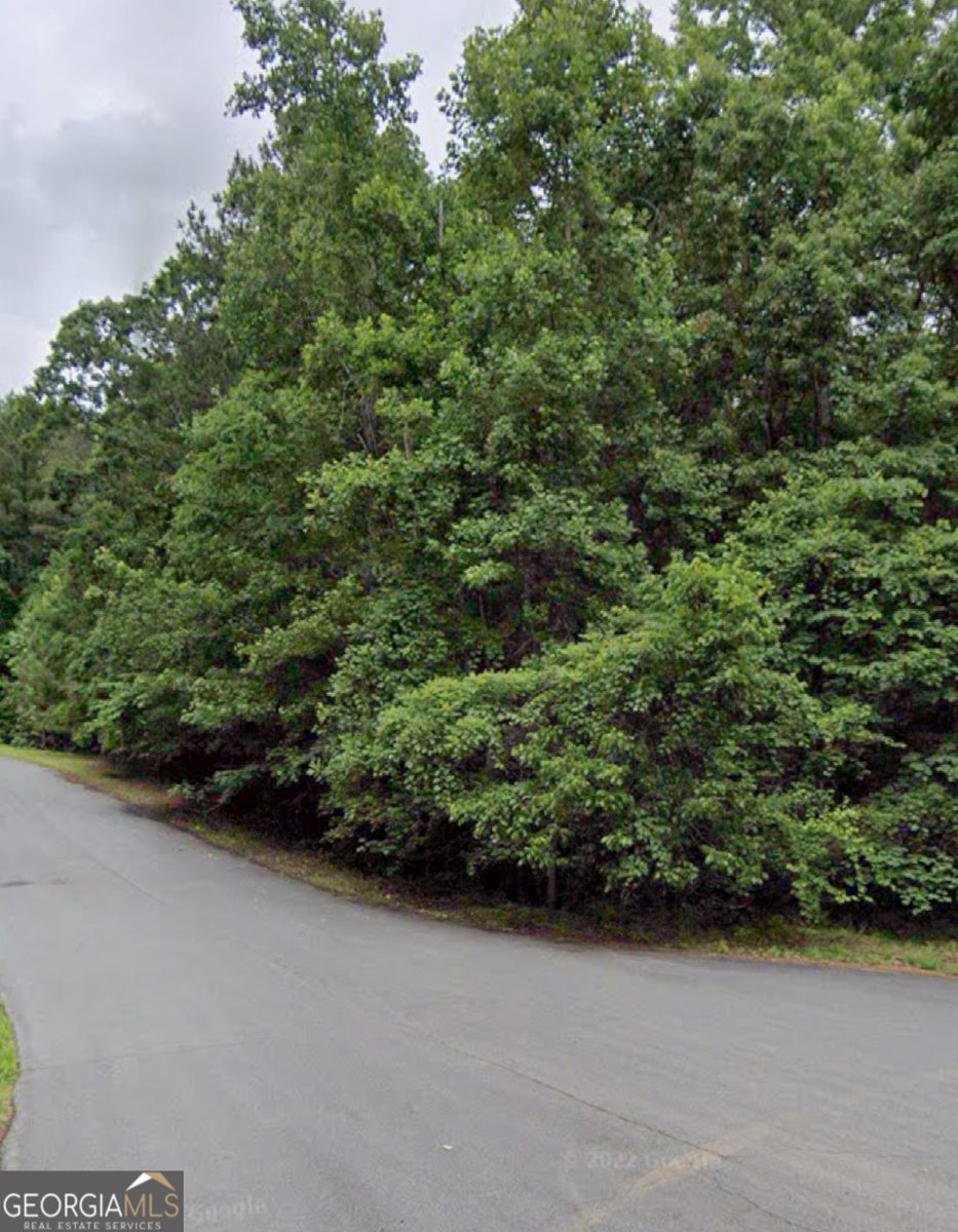 5098 Gwendolyn Court Acworth - 39