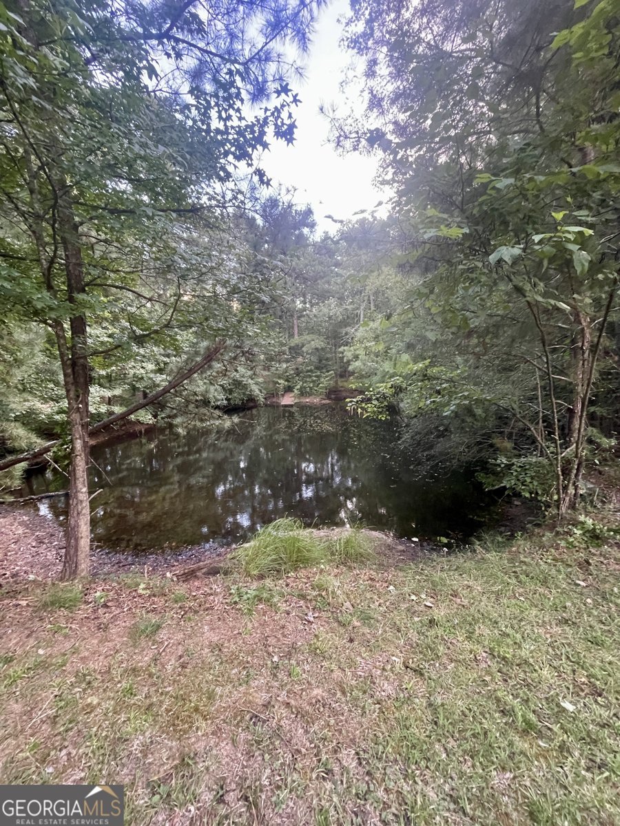 5098 Gwendolyn Court Acworth - 70