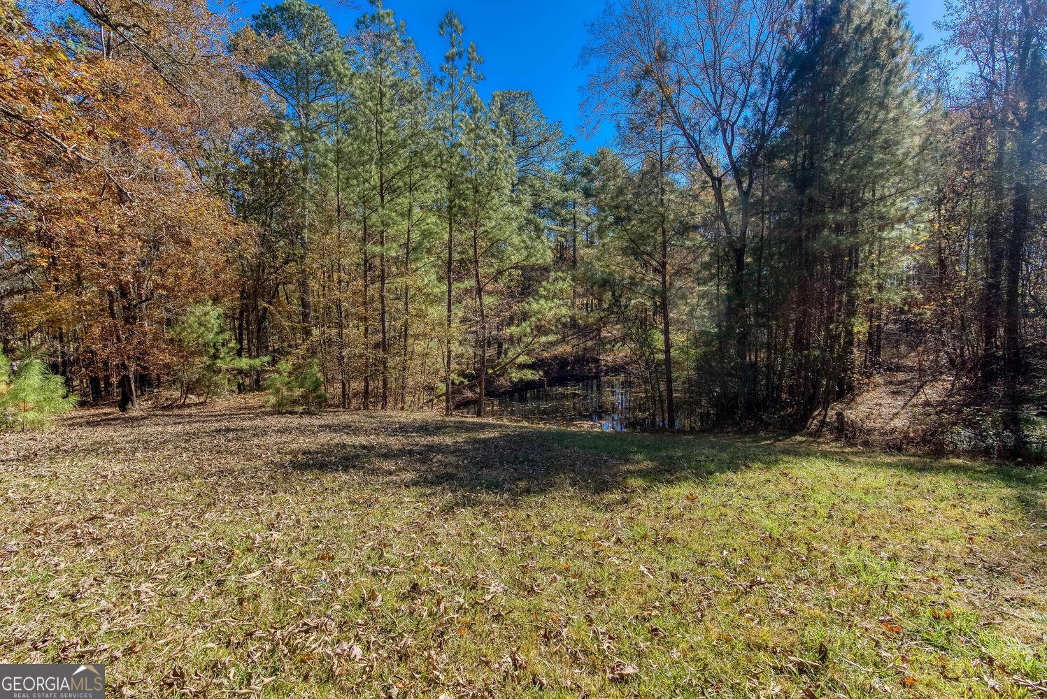 5098 Gwendolyn Court Acworth - 96