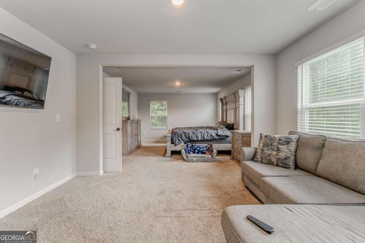 6597 Bluffview Drive Douglasville - 14