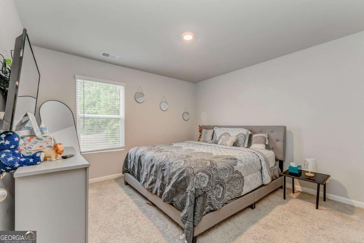 6597 Bluffview Drive Douglasville - 16