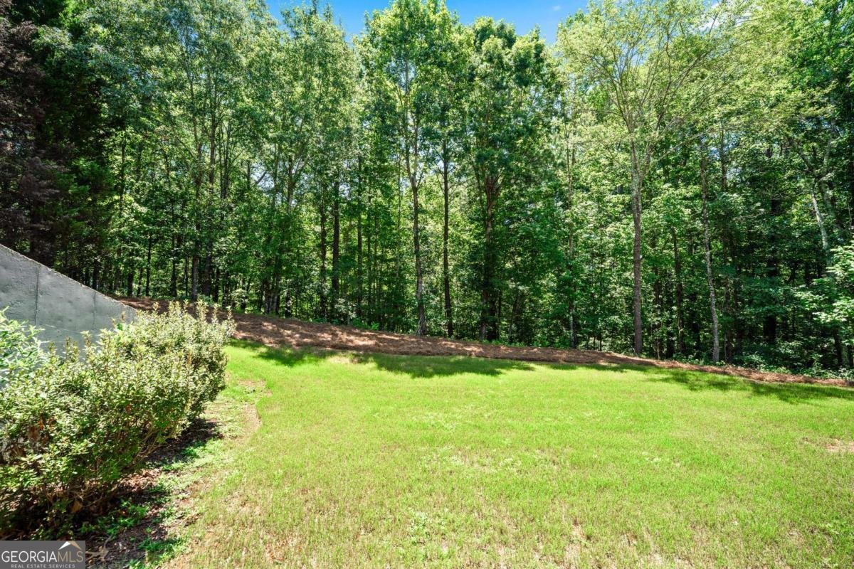 133 Sweetwater Creek Trail Canton - 45