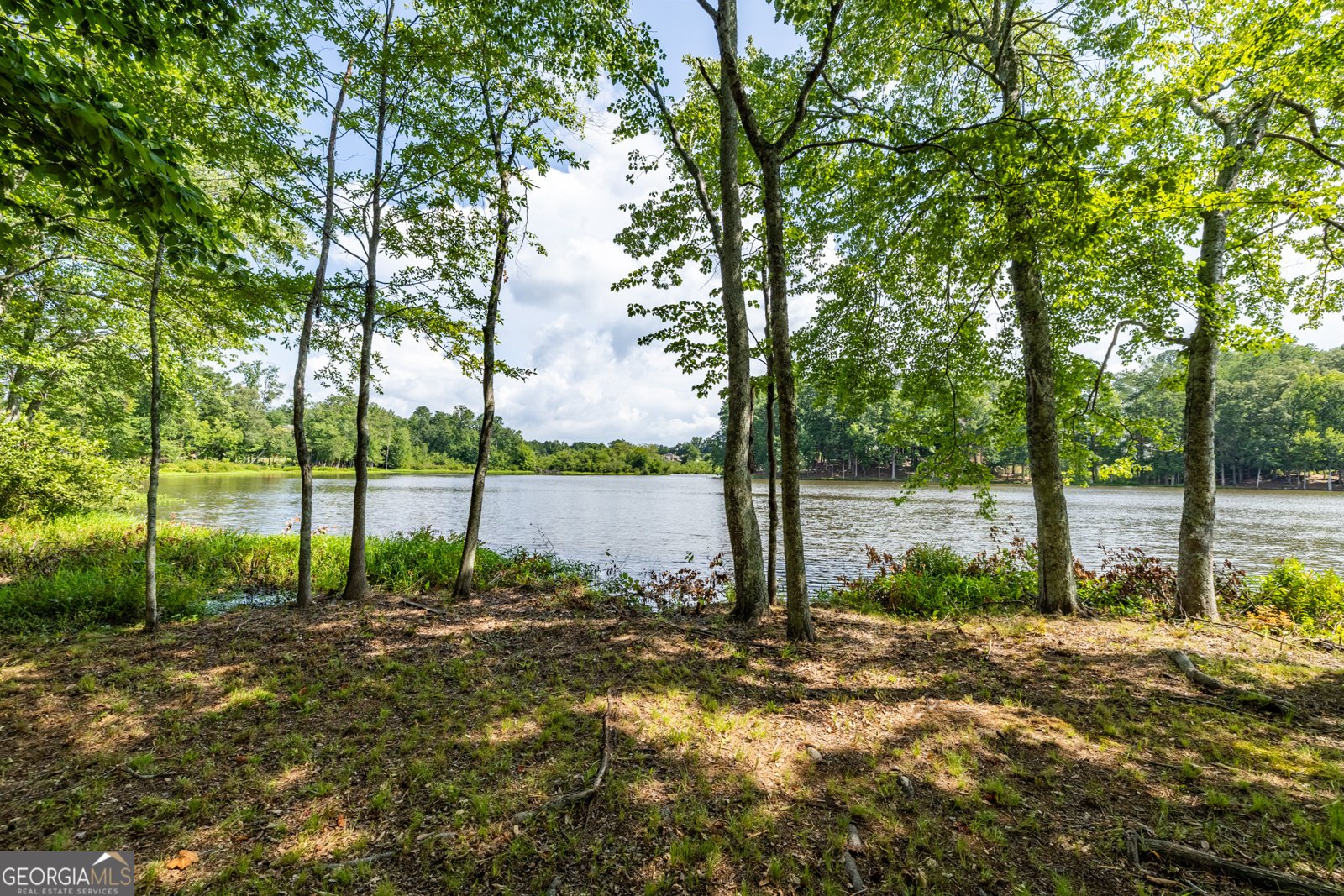 2607 Restoration Drive Powder Springs - 55