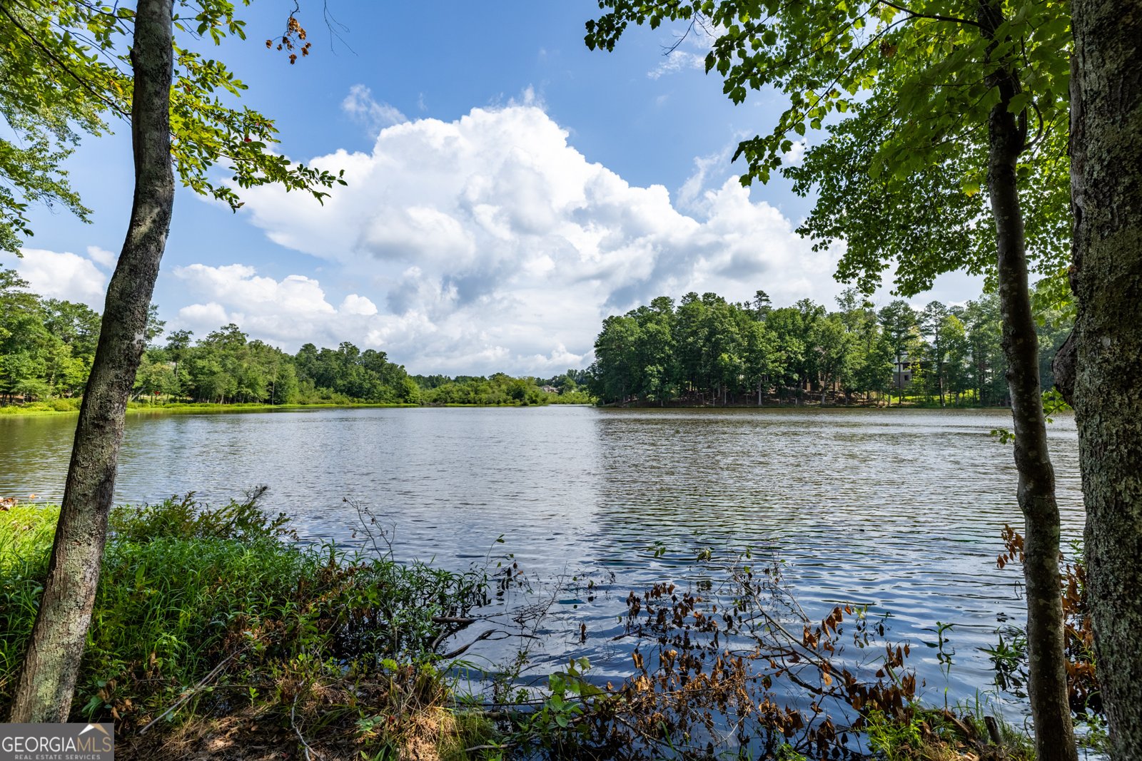 2607 Restoration Drive Powder Springs - 56