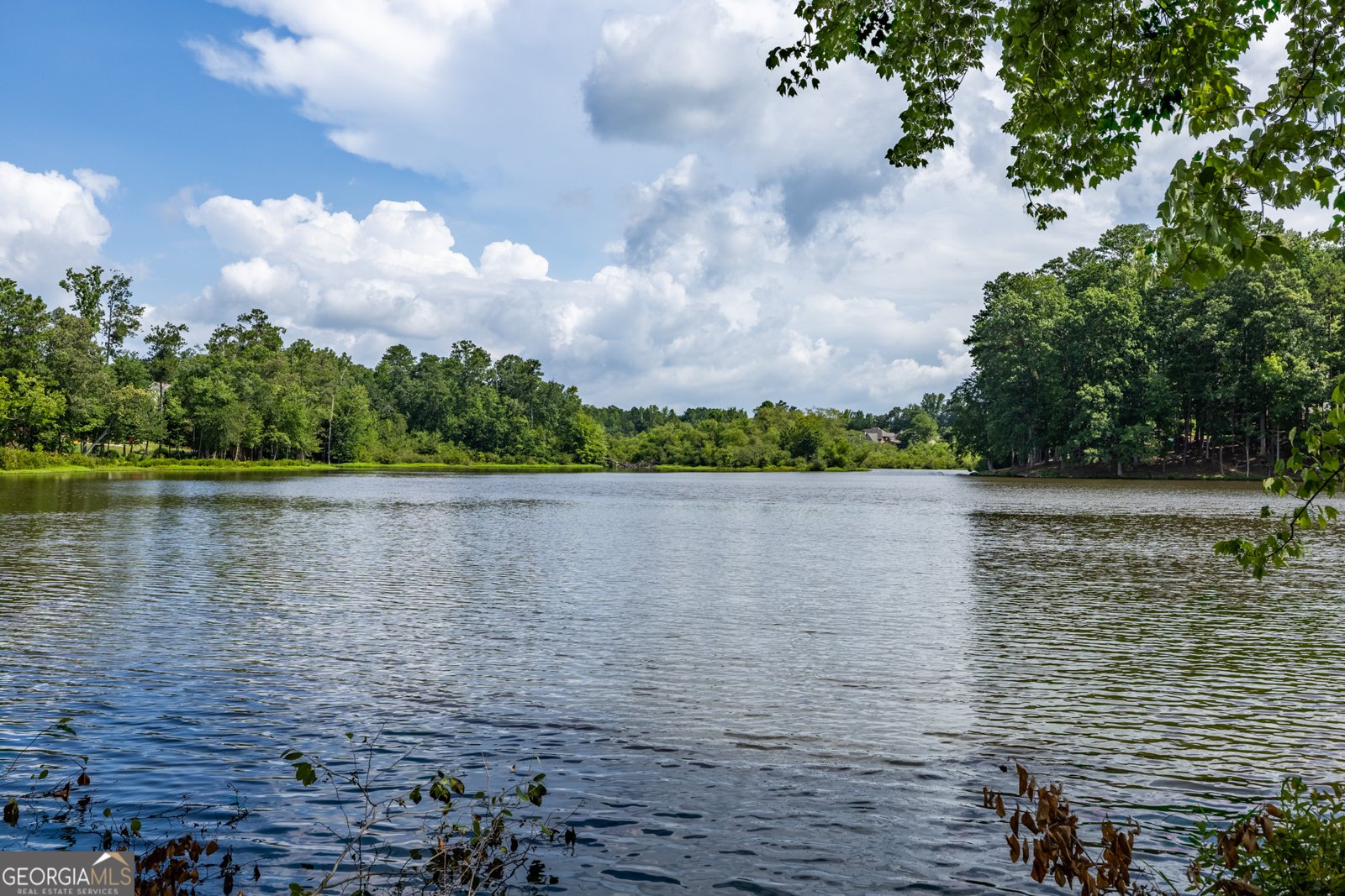 2607 Restoration Drive Powder Springs - 59