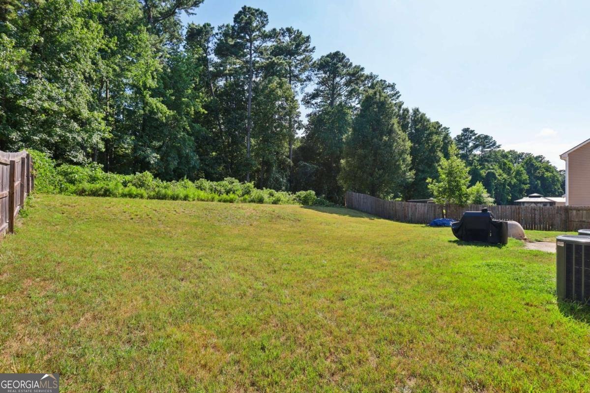 4751 Crinklepoint Court Douglasville - 27