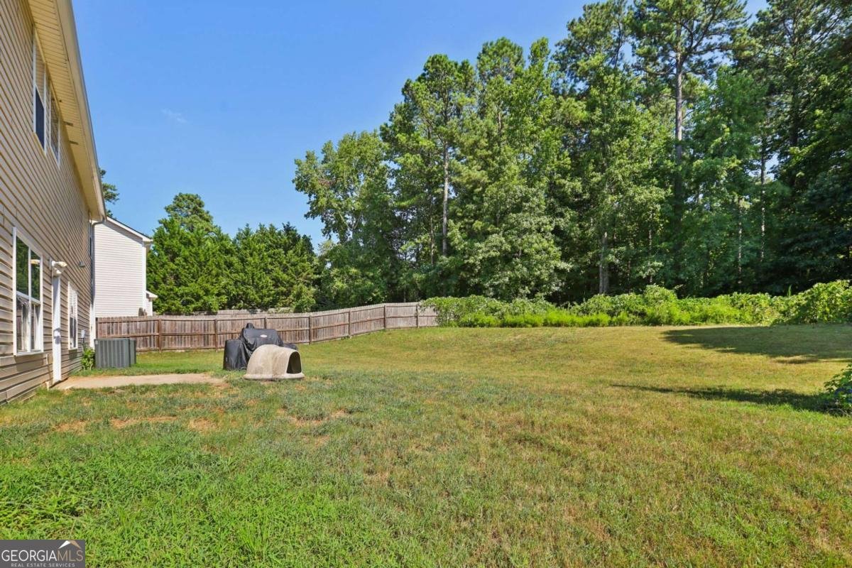 4751 Crinklepoint Court Douglasville - 28