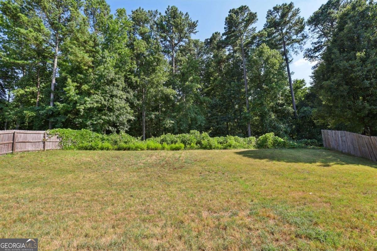 4751 Crinklepoint Court Douglasville - 30
