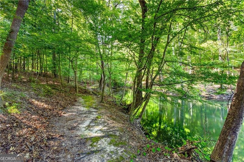 5934 Dolvin Lane Buford - 38