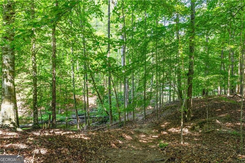 5934 Dolvin Lane Buford - 39
