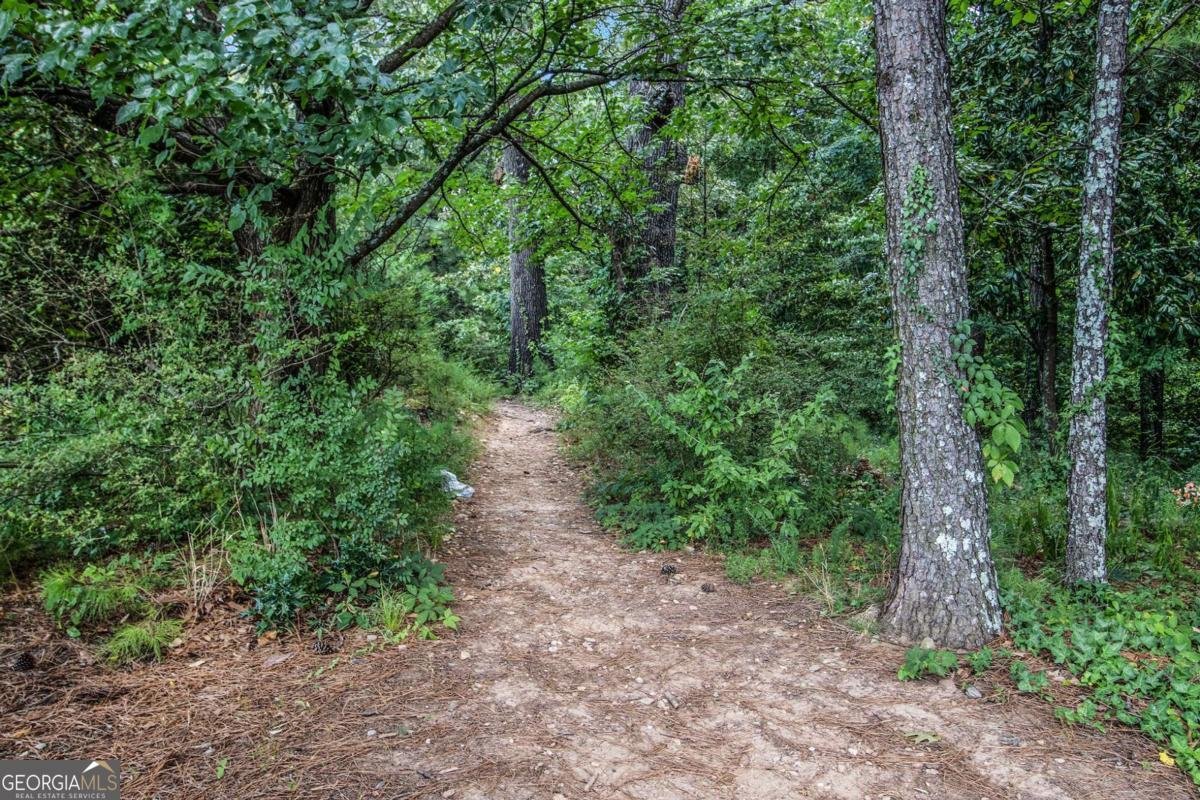 1647 Dupont Commons Drive Atlanta - 37