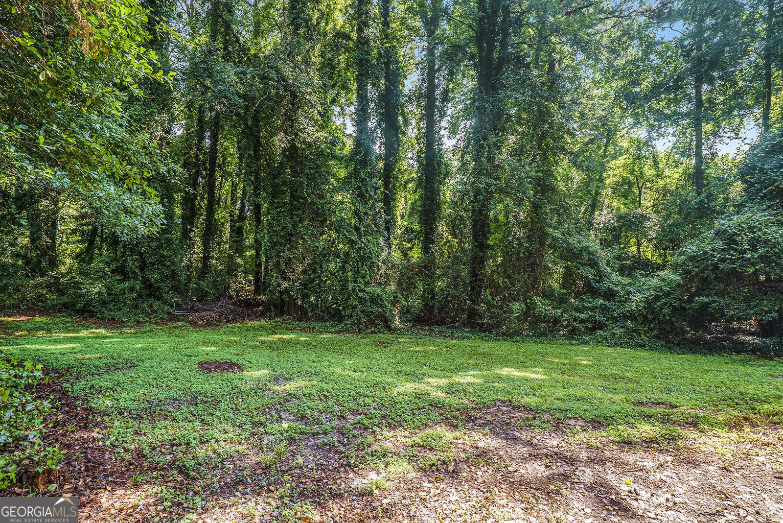 3054 Periwinkle Drive Snellville - 31