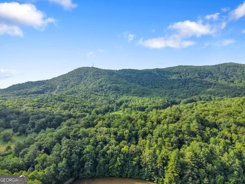 12 Ridge Trail Blue Ridge - 17