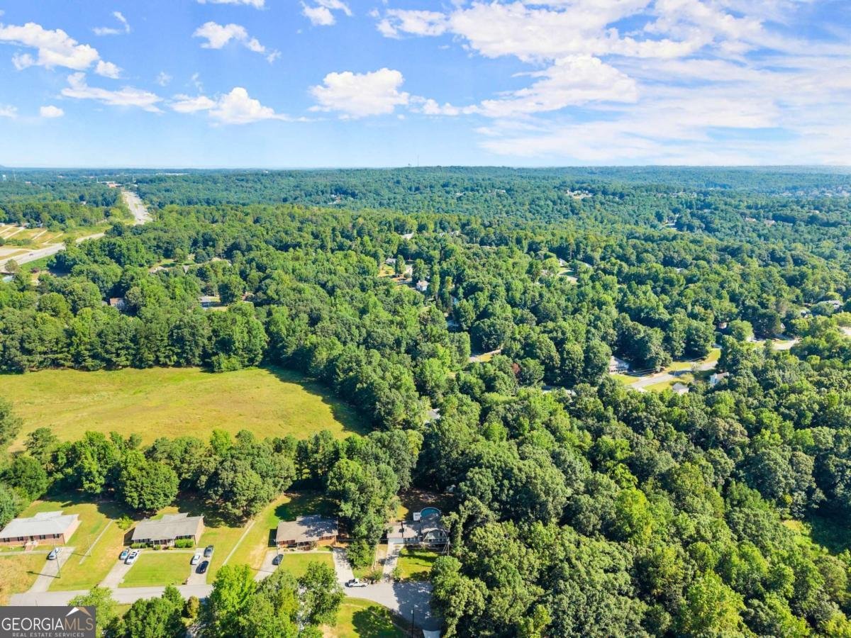 6345 Iris Drive Flowery Branch - 2