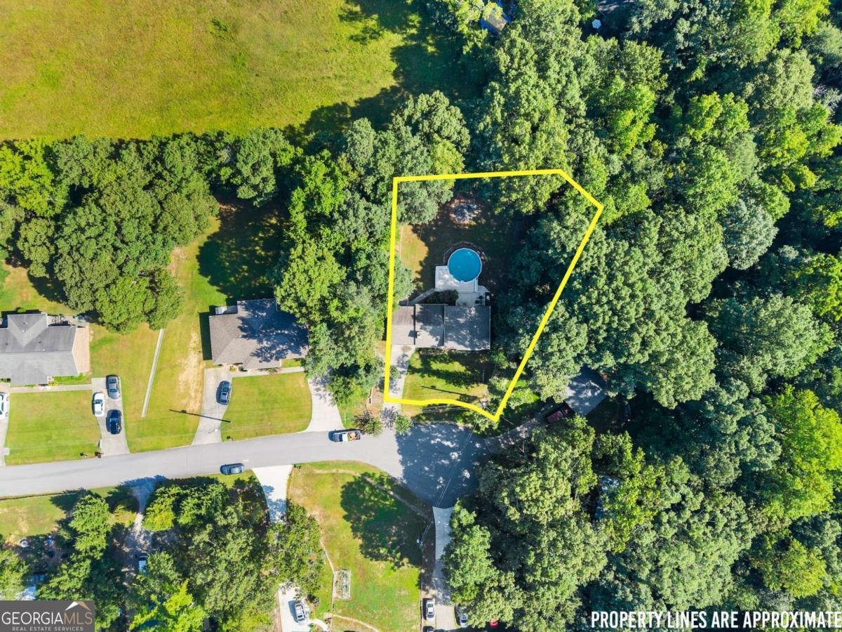 6345 Iris Drive Flowery Branch - 48