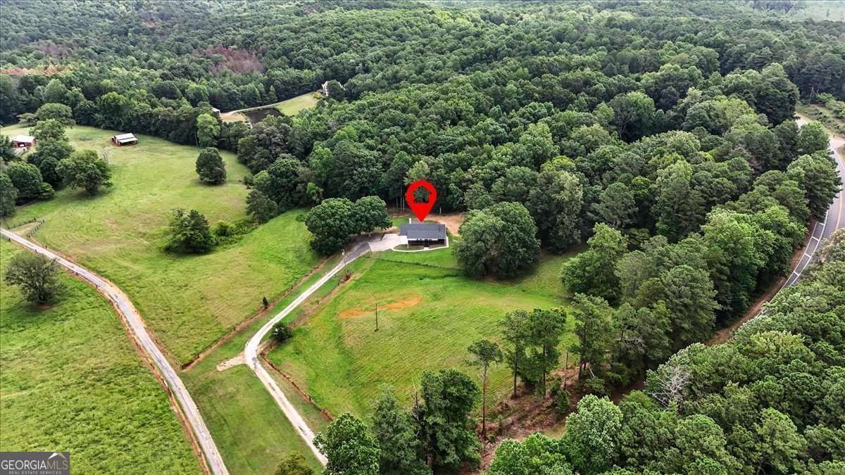 1754 Gold Mine Road Dallas - 38