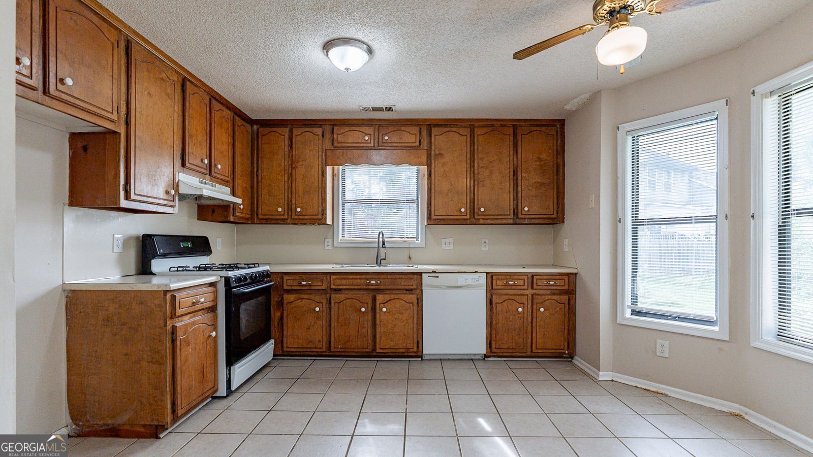 1015 Kennesaw Springs Drive Kennesaw - 9