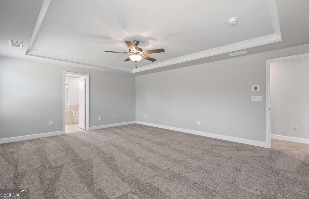 217 Kindness Circle Mcdonough - 29