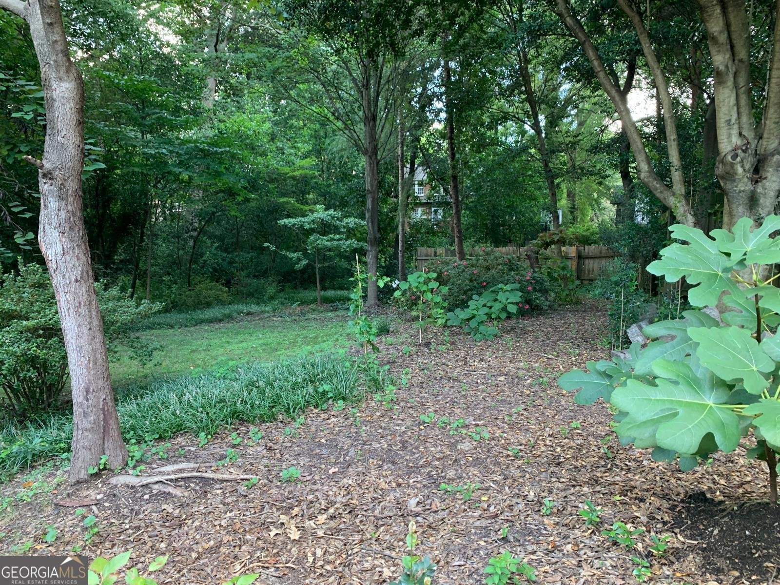 158 Wesley Road Atlanta - 66