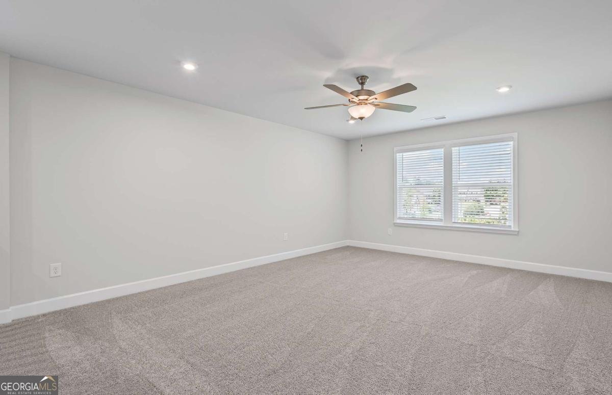225 Kindness Circle Mcdonough - 21