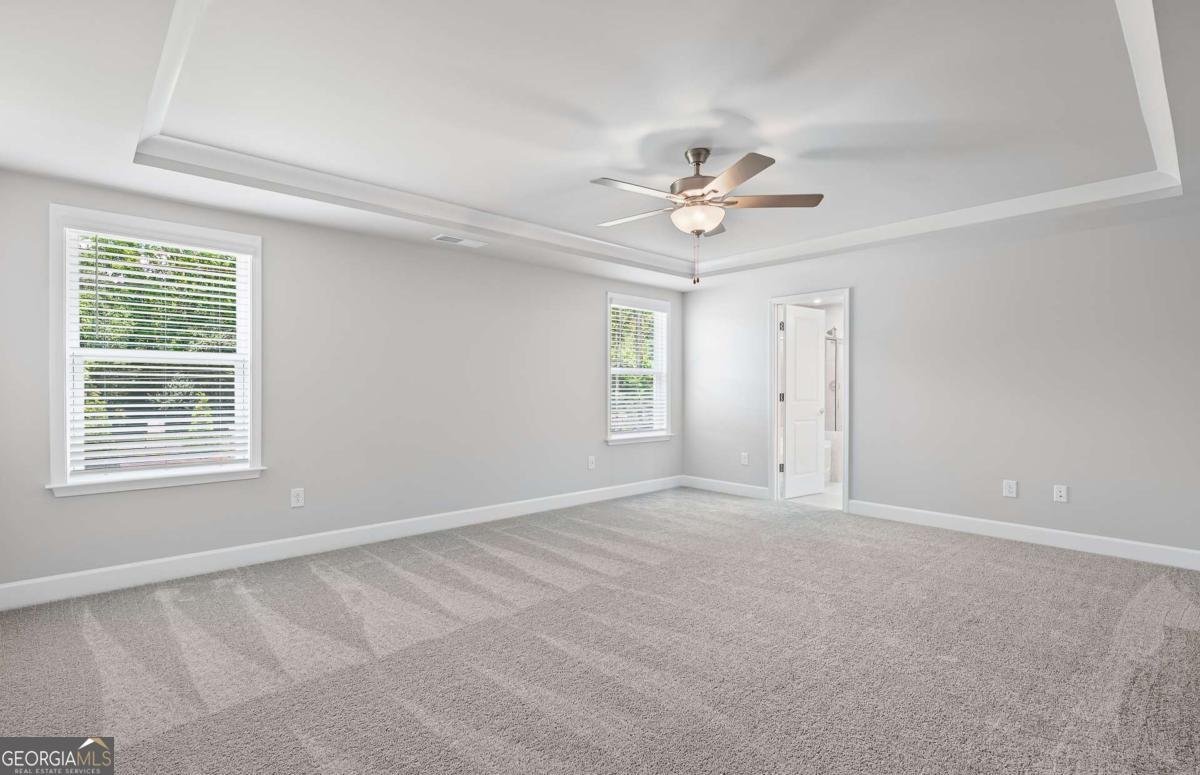 229 Kindness Circle Mcdonough - 25