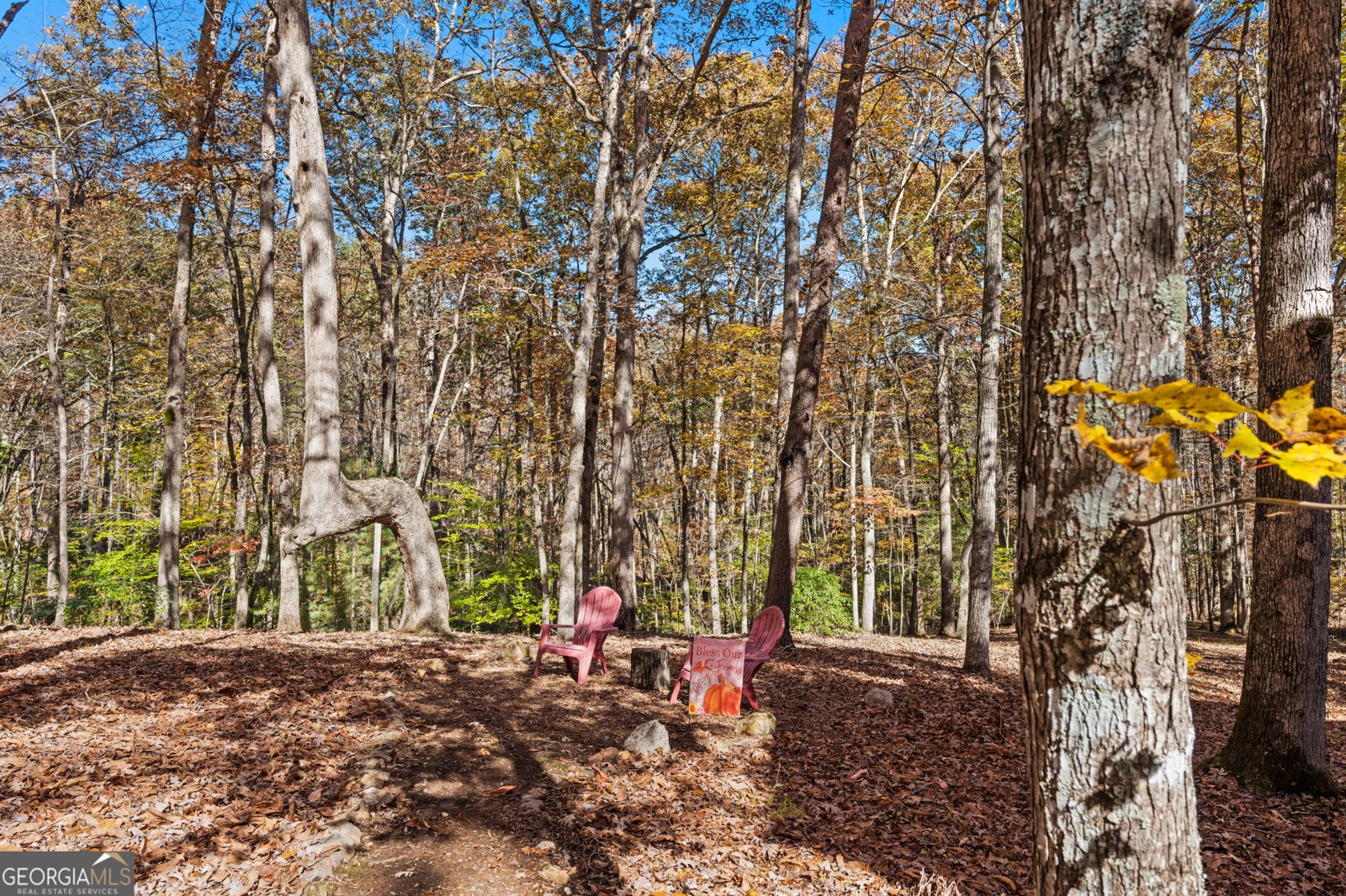 100 Arbor Way Blue Ridge - 53