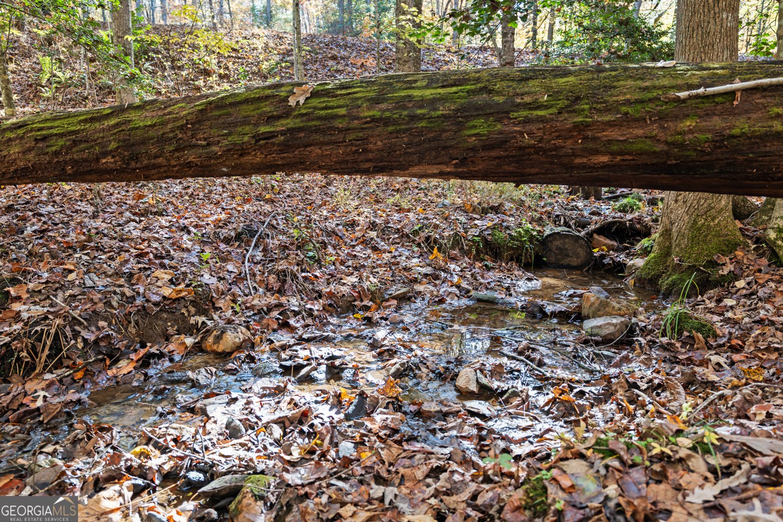 100 Arbor Way Blue Ridge - 57